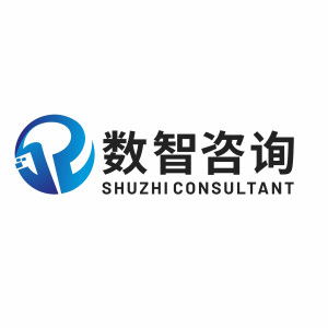 河南省數智工程咨詢監理