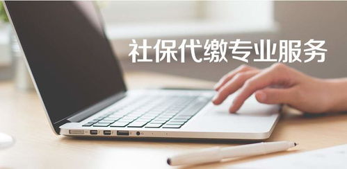成都北門無形資產審計收費低